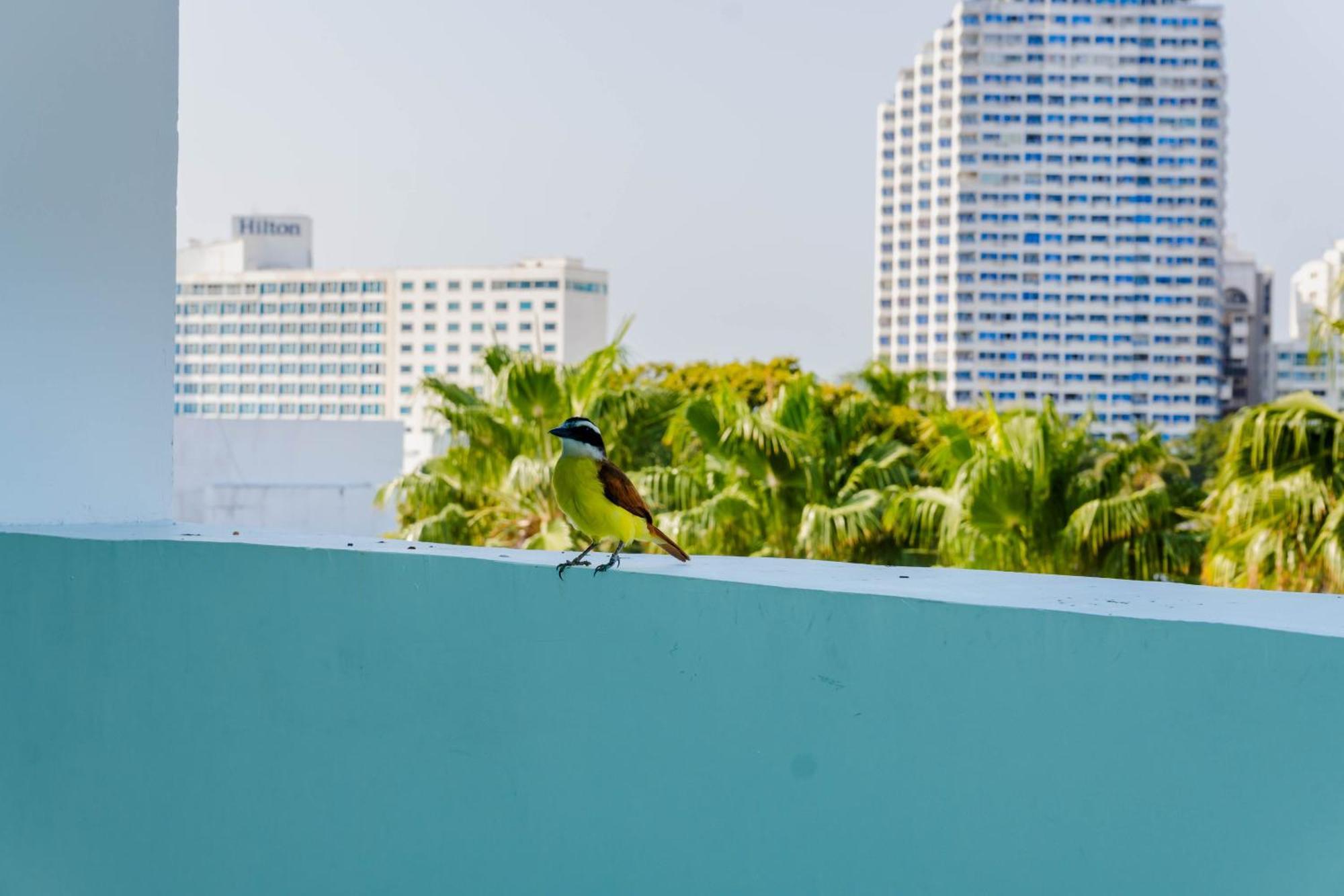 Hotel Coral Reef Cartagena Εξωτερικό φωτογραφία
